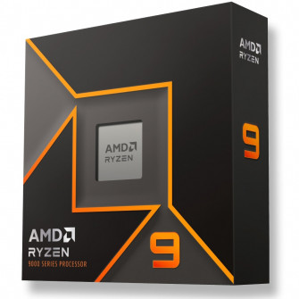 AMD Ryzen 9 9900X