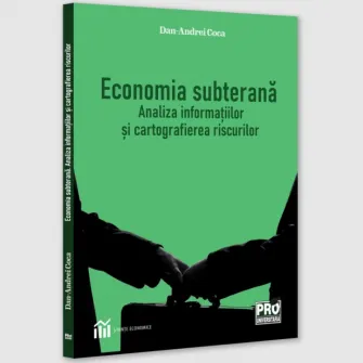 Economia subterana: analiza informatiilor si cartografierea riscurilor, Dan Andrei Coca