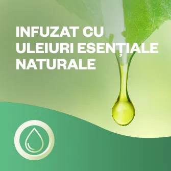 Odorizant de camera cu betisoare parfumate Air Wick, Pere si scortisoara, 40ml