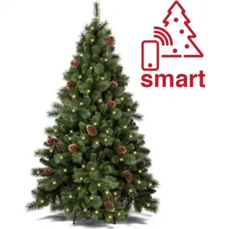 Brad artificial premium, Kring Colorado, cu conuri, 300 LED-uri, lumina calda, adaptor smart/control prin telefon, PP/PVC, 210 cm, Verde