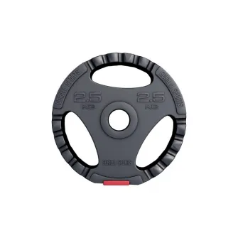 Disc cu prindere umplut cu ciment, Gorilla Sports, 2,5 Kg, 30/31mm, Negru