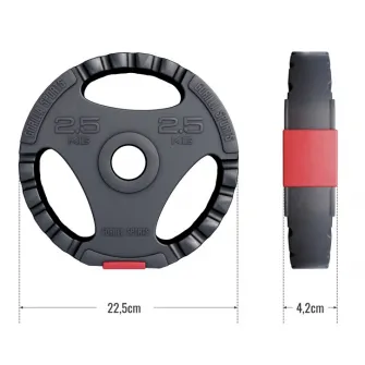 Disc cu prindere umplut cu ciment, Gorilla Sports, 2,5 Kg, 30/31mm, Negru