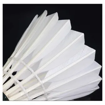 Set 6 Fluturasi badminton din pene FLOTTВ®, FBD0630