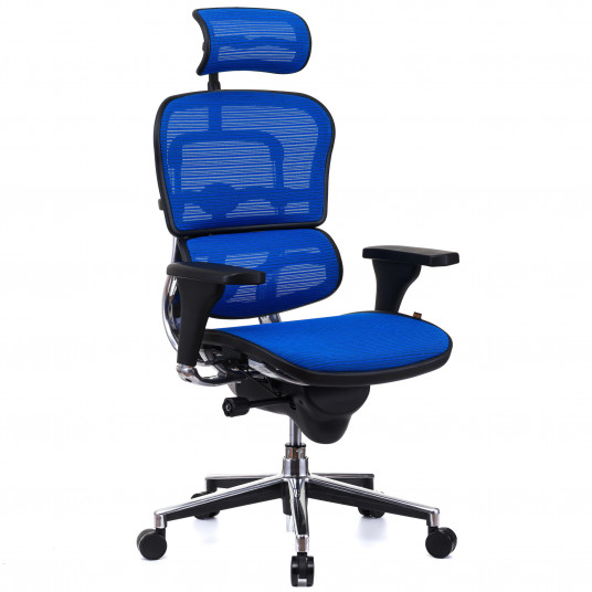 Scaun QMOBILI Ergohuman v1 Plus Albastru, mesh 3D, tetiera 2D, suport lombar, brate reglabile 3D 