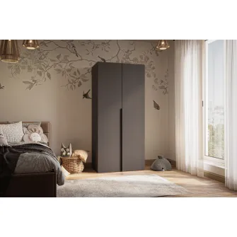 Dulap cu balamale Fenix Solo cu 2 usi, 90x55x200, Antracit