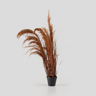 Buchet decorativ PUMPARA