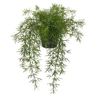 FEJKA planta artificiala, interior/exterior Asparagus/suspendata, 12 cm