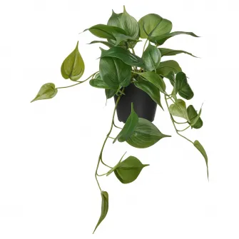 FEJKA planta artificiala, interior/exterior Golden Pothos/suspendata, 12 cm