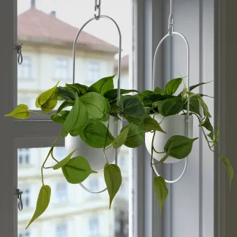 FEJKA planta artificiala, interior/exterior Golden Pothos/suspendata, 12 cm