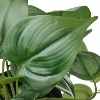 FEJKA planta artificiala, interior/exterior Golden Pothos/suspendata, 12 cm