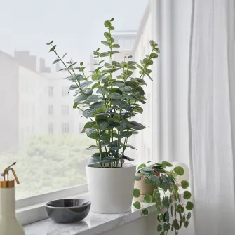 FEJKA planta artificiala, interior/exterior eucalipt, 15 cm