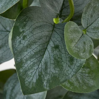 FEJKA planta artificiala, interior/exterior eucalipt, 15 cm
