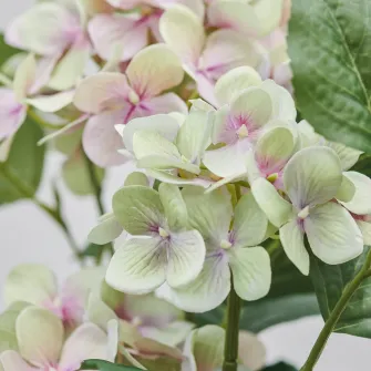 FEJKA planta artificiala, interior/exterior/Hortensia (Hydrangea) alb, 12 cm