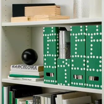 IKEA FJADERHARV Biblioraft, verde/buline