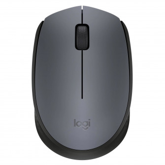 Logitech M170