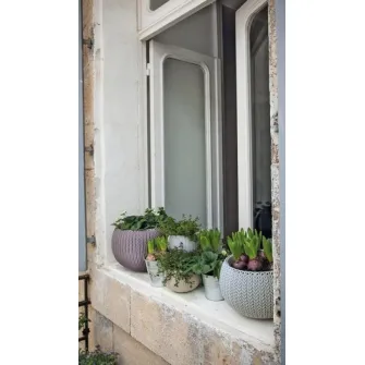 Ghiveci Keter Cozy S Hanging Violet (229534)