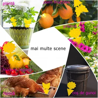 Set 36 capcane pentru mustele din fructe, Adezive, Galben