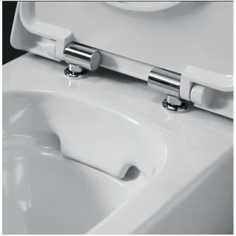 Set vas WC suspendat cu capac Geberit Selnova Premium 503.023.00.1 , spalare verticala, rimfree