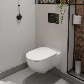Set vas WC suspendat cu capac Geberit Selnova Premium 503.023.00.1 , spalare verticala, rimfree