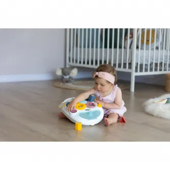 Antepremergator Little Smoby, 3 in 1