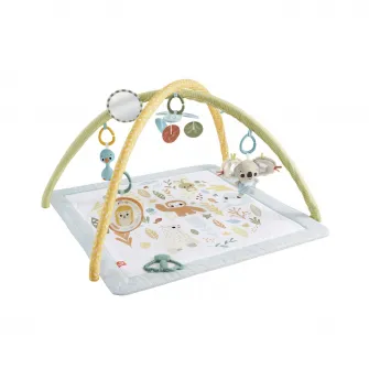 Salteluta de activitati Fisher Price - Simply Senses