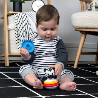 Jucarie cu sunatoare Baby Einstein Zen (16709)