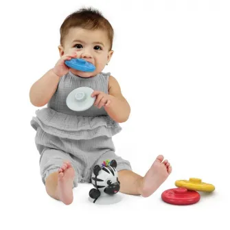 Jucarie cu sunatoare Baby Einstein Zen (16709)