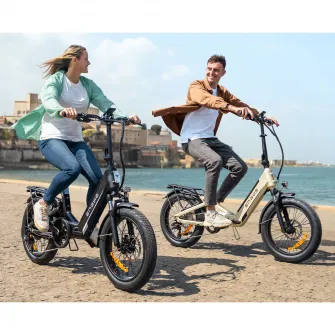 Bicicleta Electrica ENGWE L20 3.0 Boost, 250W, 48V 13.5Ah, Autonomie 135km, Anvelope 20x3.0'', 7 Viteze, Negru