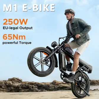 Bicicleta electrica Engwe M1, 20'', 250W, 2 baterii 48V, 13Ah si 15,6Ah, 169.8x72x113.5cm, negru