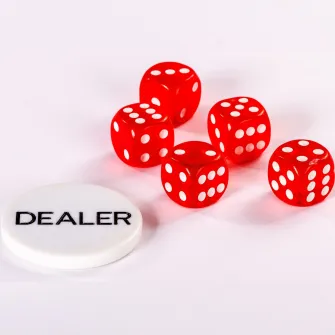 Set de poker, 300 de jetoane, amestecator de carti, GAMES PLANET