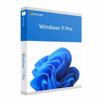 Windows 11 Pro 64Bit Eng Intl 1pk DSP OEI DVD