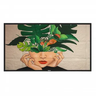 Display Philips 55BDL4650D, 55'', Negru